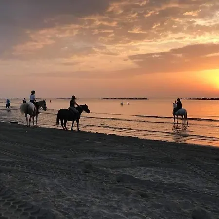 Apartment Montebianco 30