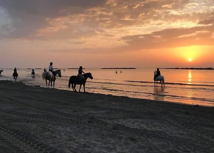 Appartement Montebianco 30